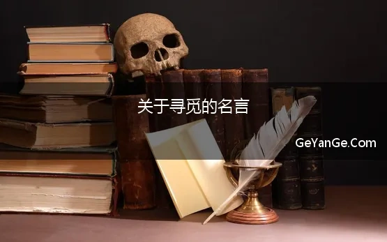 关于寻觅的名言