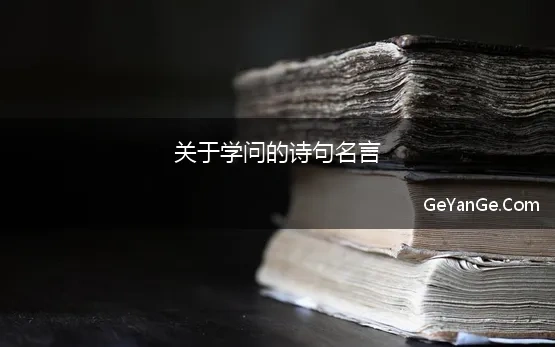 关于学问名言