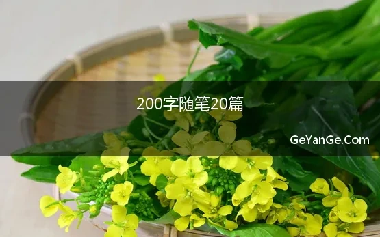 哲理随笔200字