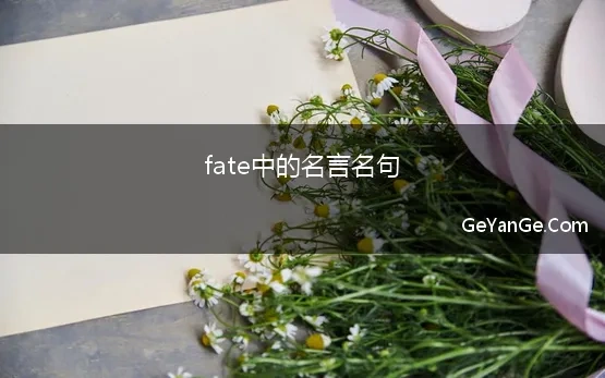 fate中的名言名句