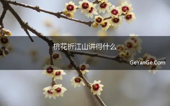 桃花折江山讲得什么