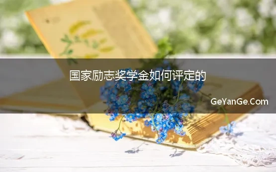 励志奖是什么意思?