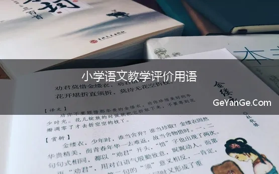 小学语文教学评价用语