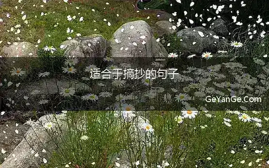 适合于摘抄的句子