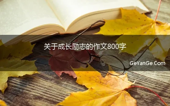 800字励志作文