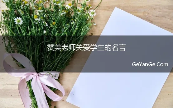 赞美老师关爱学生的名言