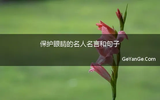 保护眼睛的名人名言和句子