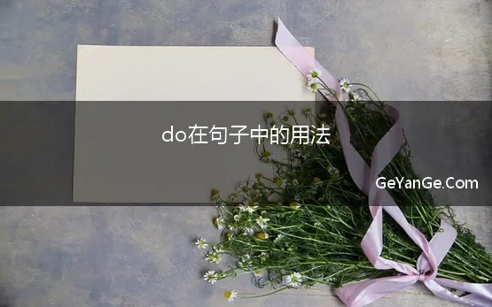 do在句子中的用法