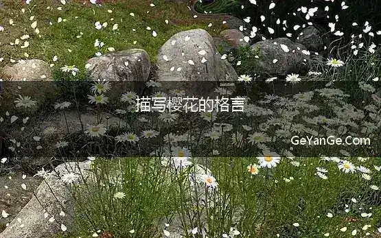 描写樱花的格言