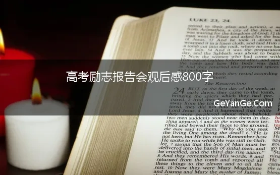 励志报告会观后感500字作文