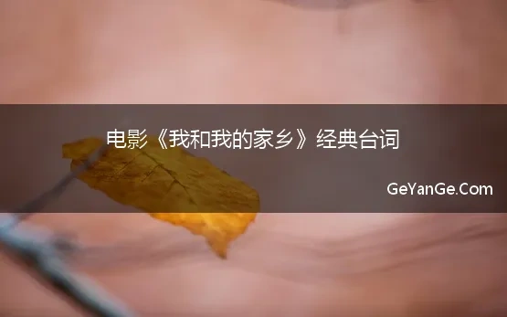 我和我的家乡最经典的台词