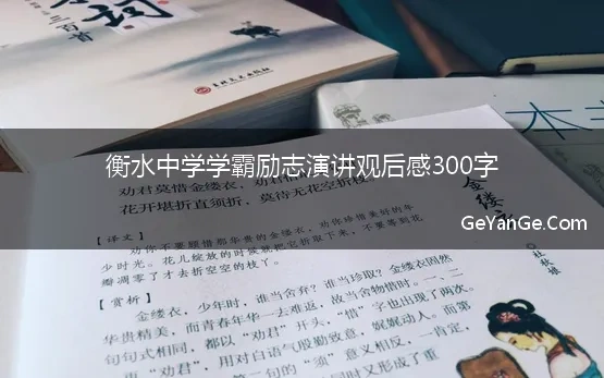 衡水中学学霸励志演讲观后感300字