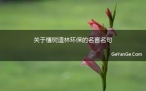 关于植树造林环保的名言名句