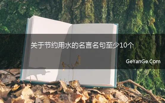 关于节约用水的名言名句至少10个