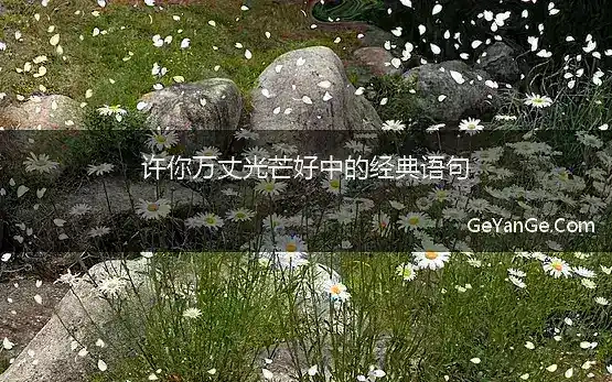 许你万丈光芒好语录摘抄