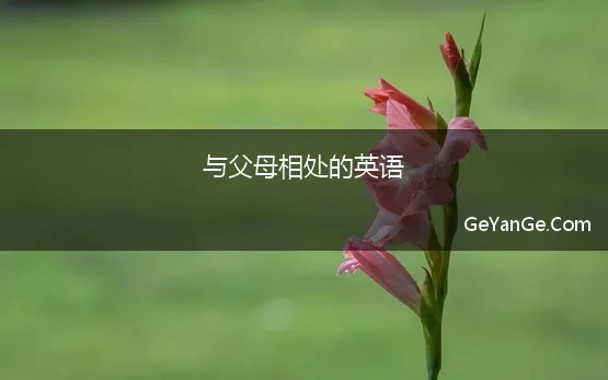 与父母相处的英语