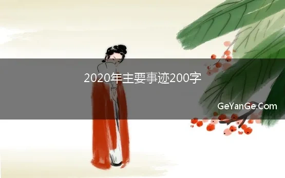 2020年主要事迹200字