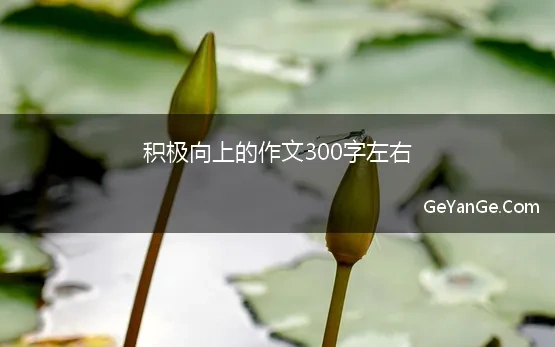 积极向上的作文300字