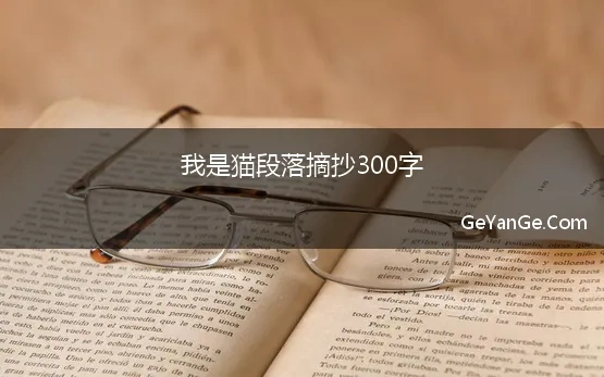 我是猫段落摘抄300字