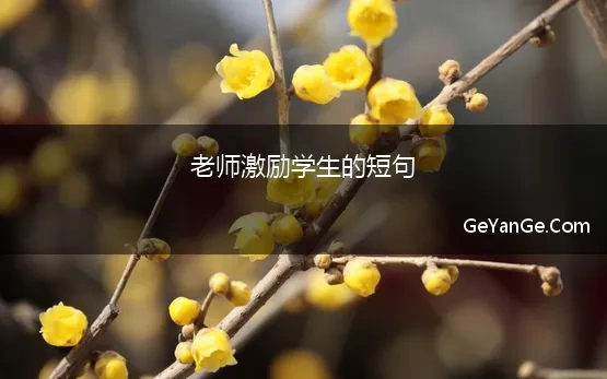 老师正能量鼓励学生的语录