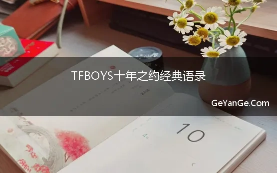 关于tfboys的语录