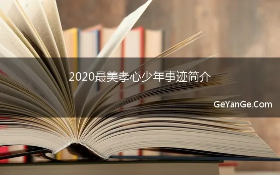 2020最美孝心少年事迹简介