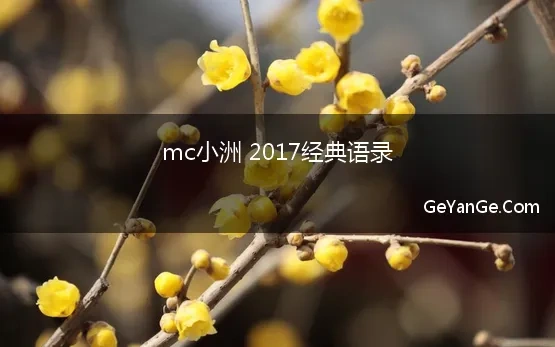 mc小洲经典语录2017经典语录1