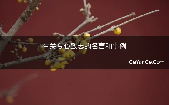 关于做事要专心致志的名人名言