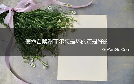 使命召唤谢菲尔德是坏的还是好的