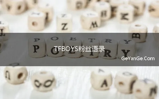 TFBOYS粉丝语录