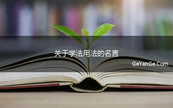 关于学法用法的名言