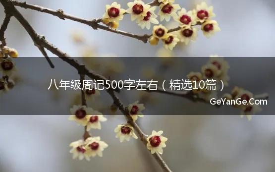 八年级周记500字左右