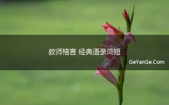 教师格言 经典语录简短