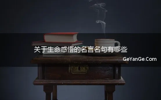 关于生命感悟的名言名句有哪些