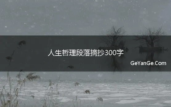 人生哲理段落摘抄300字