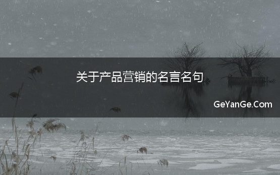 关于产品营销的名言名句 做全屋定制朋友圈怎么推广文案短句 朋友圈广告宣传话术好句子