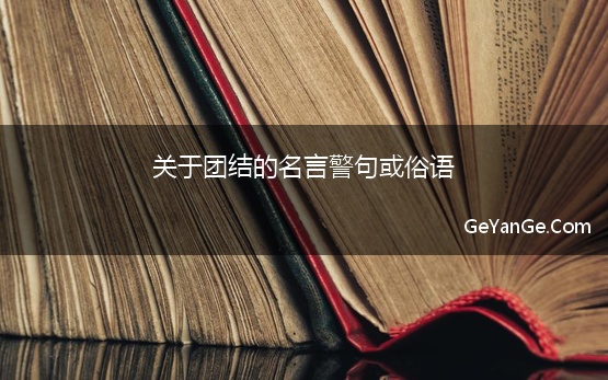 关于团结的名言警句或俗语