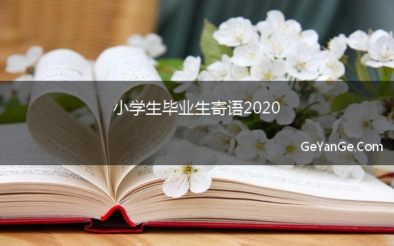 小学生毕业生寄语2020