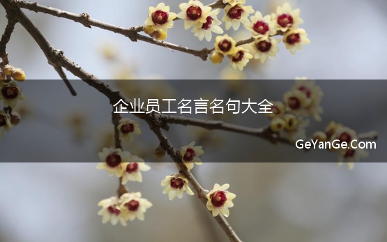 企业员工<a href=http://www.geyange.com/mingyan/2752.html target=_blank class=infotextkey>名言名句大全</a>