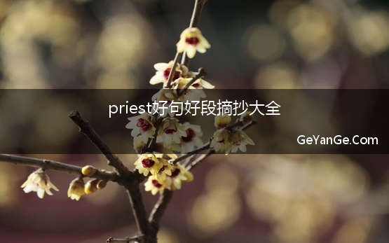 priest好句好段摘抄大全