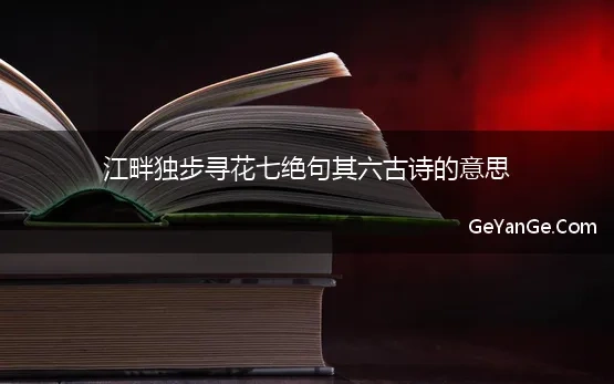 江畔独步寻花七绝句其六古诗的意思