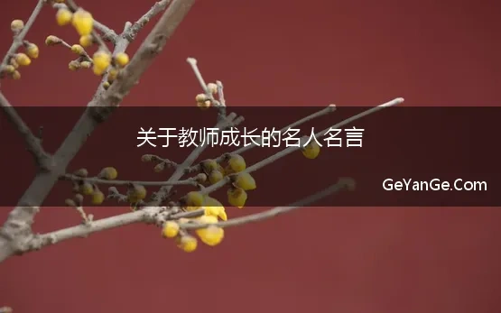 关于教师成长的名人名言