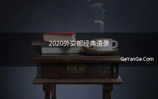 2020外交部经典语录