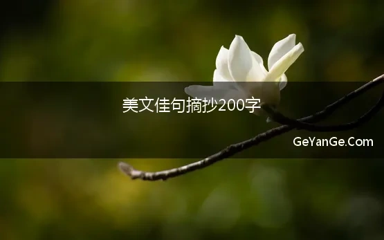 美文佳句摘抄200字