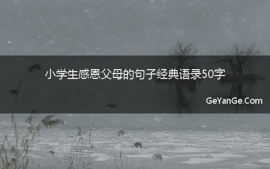 小学生感恩父母的句子经典语录50字