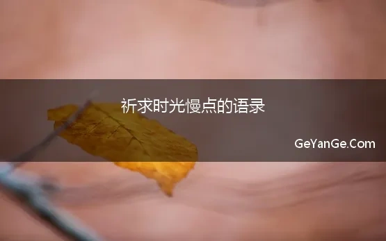 祈求时光慢点的语录