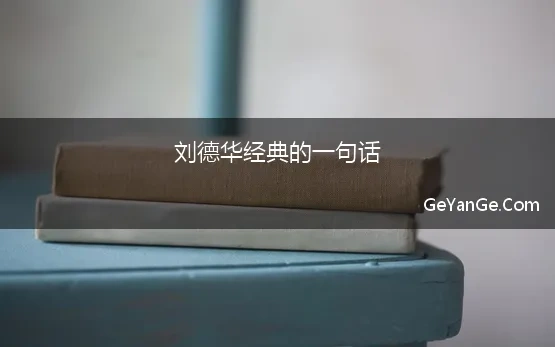 刘德华经典的一句话