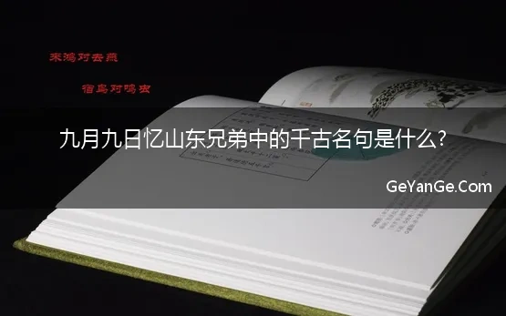 九月九日忆山东兄弟中的千古名句是什么?