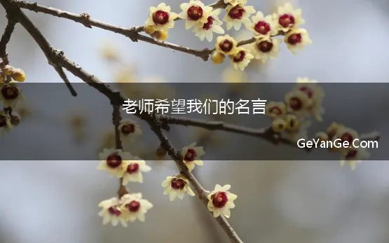 老师希望我们的名言