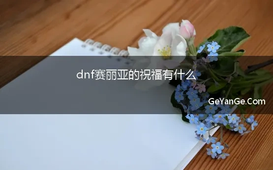 dnf赛丽亚的祝福有什么